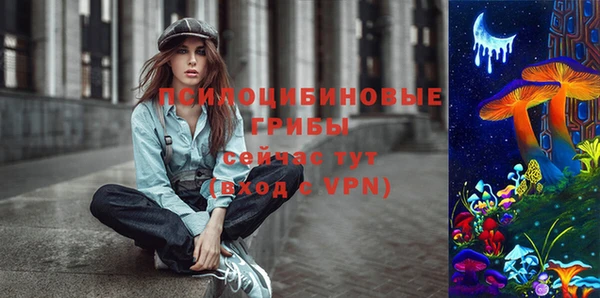 СК Верхний Тагил