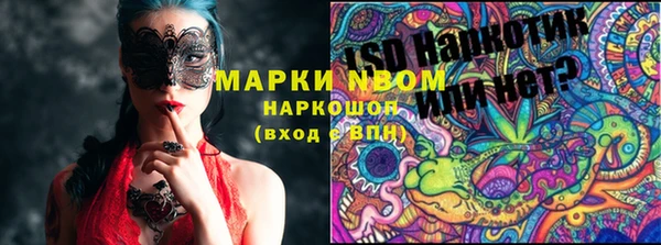 СК Верхний Тагил