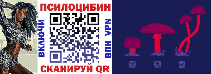 Псилоцибиновые грибы Psilocybe  Партизанск 